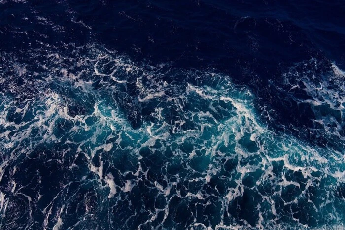 The world's ocean is rapidly darkening: scientists sound the alarm